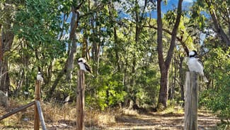 Rural / Farming commercial property for sale at 91 Reason Lane Applethorpe QLD 4378 Rural / Farming commercial property for sale at 91 Reason Lane Applethorpe QLD 4378