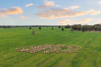 Rural / Farming commercial property for sale at 679 Bellarwi Road West Wyalong NSW 2671