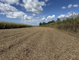Rural / Farming commercial property for sale at Euramo QLD 4854 Rural / Farming commercial property for sale at Euramo QLD 4854