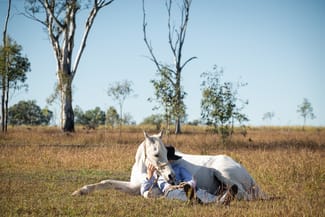 Rural / Farming commercial property for sale at 4236 Cunningham Highway Mutdapilly QLD 4307 Rural / Farming commercial property for sale at 4236 Cunningham Highway Mutdapilly QLD 4307