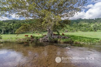 Rural / Farming commercial property for sale at 111 Left Hand Branch Road Darlington QLD 4285 Rural / Farming commercial property for sale at 111 Left Hand Branch Road Darlington QLD 4285