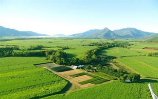 Rural / Farming commercial property for sale at 84 Deppeler Road Edmonton QLD 4869
