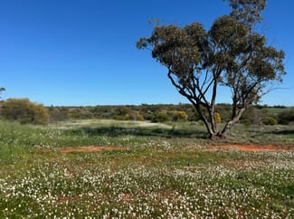 Rural / Farming commercial property for sale at 372 Burton Road Ambania WA 6632