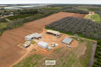 Rural / Farming commercial property for sale at 3272 Kulkyne Way Colignan VIC 3494