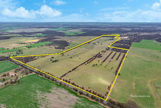Rural / Farming commercial property for sale at 388 Tallimba Road West Wyalong NSW 2671 Rural / Farming commercial property for sale at 388 Tallimba Road West Wyalong NSW 2671