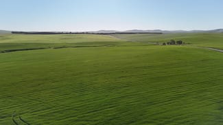 Rural / Farming commercial property for sale at 'Siegerts' Section 3 Goyder Highway Spalding SA 5454