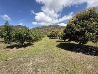 Rural / Farming commercial property for sale at Murray Upper QLD 4854 Rural / Farming commercial property for sale at Murray Upper QLD 4854
