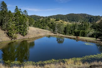 Rural / Farming commercial property for sale at 119 Perrys Road Kidaman Creek QLD 4574 Rural / Farming commercial property for sale at 119 Perrys Road Kidaman Creek QLD 4574