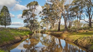 Rural / Farming commercial property for sale at 248 Houplines Road Peak Hill NSW 2869 Rural / Farming commercial property for sale at 248 Houplines Road Peak Hill NSW 2869