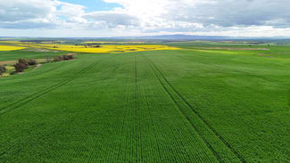 Rural / Farming commercial property for sale at 'Sweets & Gums' Pekina Range Road Pekina SA 5431 Rural / Farming commercial property for sale at 'Sweets & Gums' Pekina Range Road Pekina SA 5431