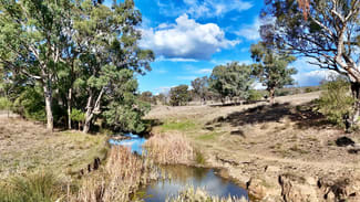 Rural / Farming commercial property for sale at 996 Whitlow Road Bingara NSW 2404 Rural / Farming commercial property for sale at 996 Whitlow Road Bingara NSW 2404