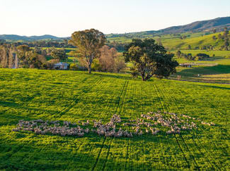 Rural / Farming commercial property for sale at 922 Westbrook Road Oberne Creek NSW 2650 Rural / Farming commercial property for sale at 922 Westbrook Road Oberne Creek NSW 2650