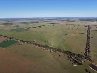 Rural / Farming commercial property for sale at 90 COLLINS LANE West Wyalong NSW 2671