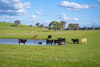 Rural / Farming commercial property for sale at 680 Fish River Road CROOKWELL VIA Narrawa NSW 2583 Rural / Farming commercial property for sale at 680 Fish River Road CROOKWELL VIA Narrawa NSW 2583