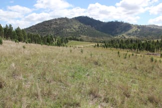 Rural / Farming commercial property sold at Mudgee NSW 2850 Rural / Farming commercial property sold at Mudgee NSW 2850