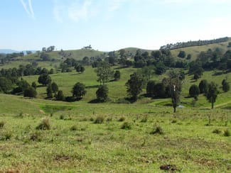Rural / Farming commercial property sold at 730 Bunyah Road, Bulby Brush Bunyah NSW 2429 Rural / Farming commercial property sold at 730 Bunyah Road, Bulby Brush Bunyah NSW 2429