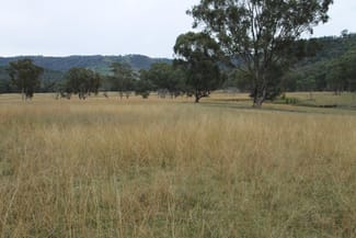 Rural / Farming commercial property sold at Mudgee NSW 2850 Rural / Farming commercial property sold at Mudgee NSW 2850