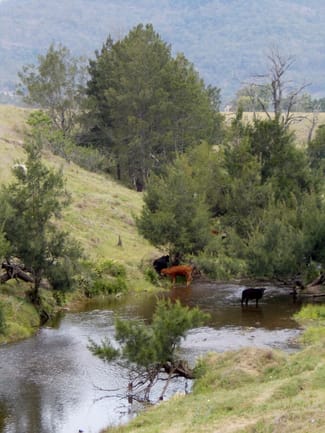Rural / Farming commercial property sold at Vacy NSW 2421 Rural / Farming commercial property sold at Vacy NSW 2421