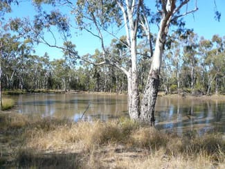 Rural / Farming commercial property sold at 155 ROCKY CRESCENT Tara QLD 4421 Rural / Farming commercial property sold at 155 ROCKY CRESCENT Tara QLD 4421