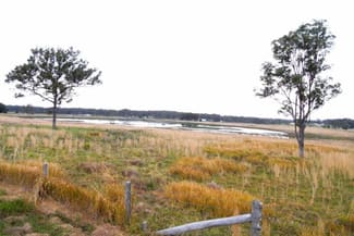 Rural / Farming commercial property sold at Nabiac NSW 2312 Rural / Farming commercial property sold at Nabiac NSW 2312