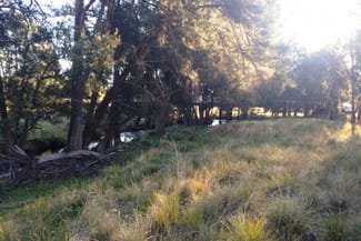 Rural / Farming commercial property sold at Mudgee NSW 2850 Rural / Farming commercial property sold at Mudgee NSW 2850