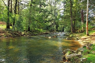 Rural / Farming commercial property sold at 230 Allans Road Kangaroo Valley NSW 2577 Rural / Farming commercial property sold at 230 Allans Road Kangaroo Valley NSW 2577
