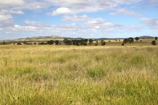 Rural / Farming commercial property sold at - ALLANDALE Roma QLD 4455