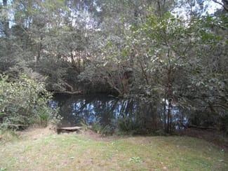 Rural / Farming commercial property sold at Bobin NSW 2429