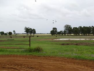 Rural / Farming commercial property sold at 2058 ACRES GRAZING PROPERTY Jandowae QLD 4410 Rural / Farming commercial property sold at 2058 ACRES GRAZING PROPERTY Jandowae QLD 4410