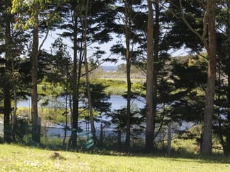Rural / Farming commercial property sold at Bermagui NSW 2546