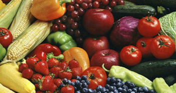 Food & Beverage Business in Balwyn
