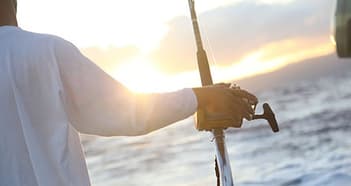 Accommodation & Tourism Business in Geelong