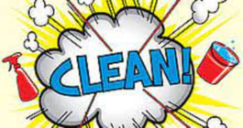 Cleaning Services Business in Logan Village