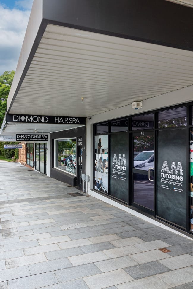 55 Tintern Avenue Telopea NSW 2117