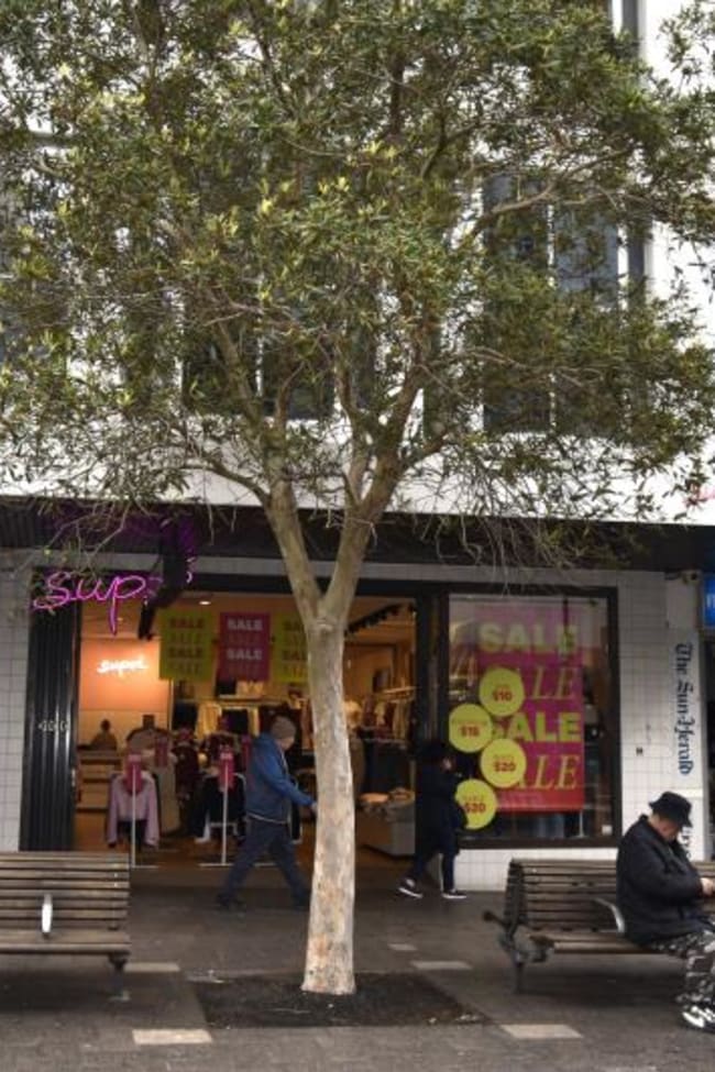 191-195 Oxford Street Bondi Junction NSW 2022
