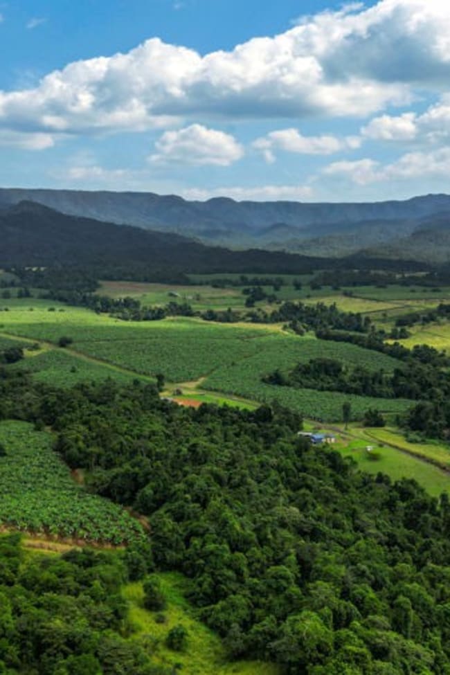 1020 Pullom Road Nerada QLD 4860