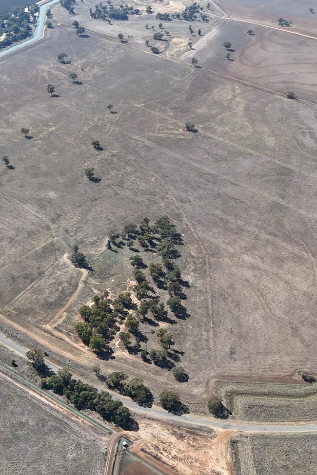 Farm 11/2/Lot 152 Donald Ross Drive Coleambally NSW 2707