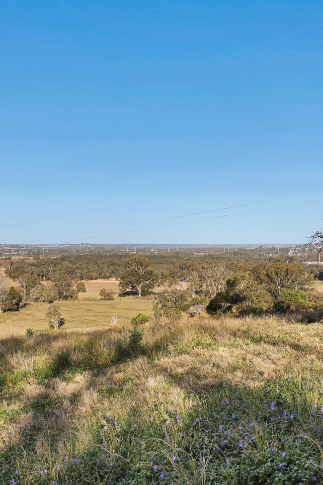 223 Paynes Road Kembla Grange NSW 2526 223 Paynes Road Kembla Grange NSW 2526