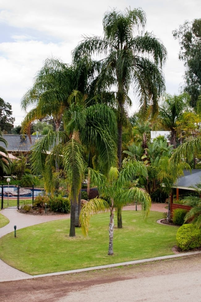 Barooga NSW 3644