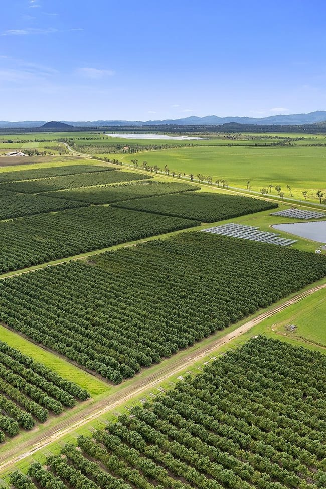 Mareeba Dimbulah Road Arriga QLD 4880