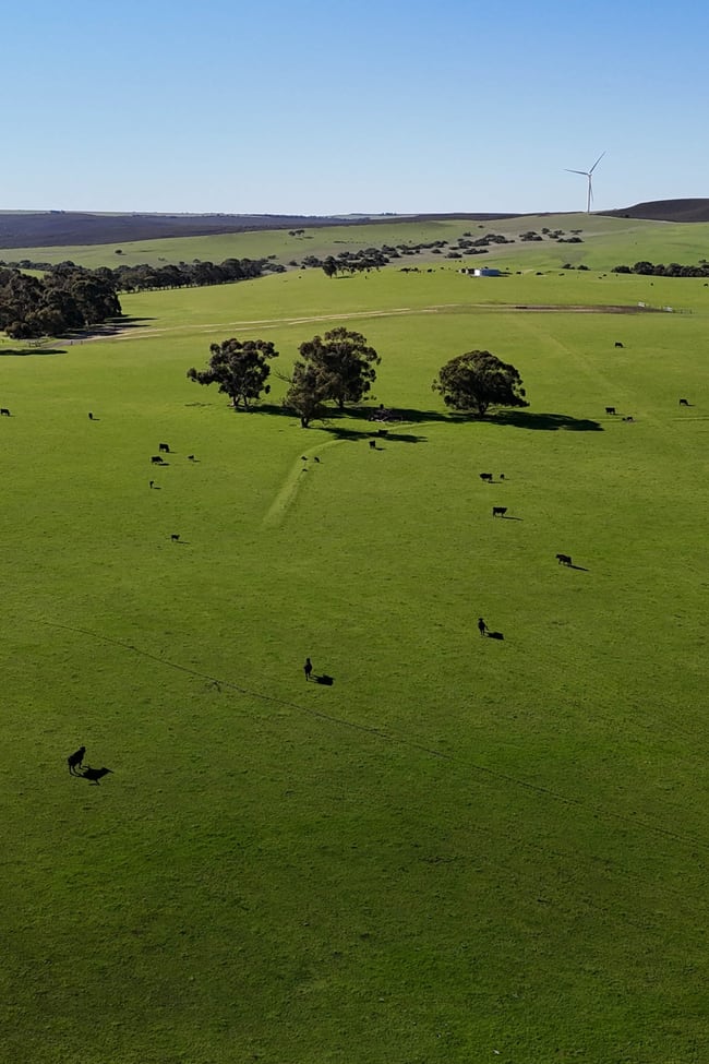 Badgingarra WA 6521