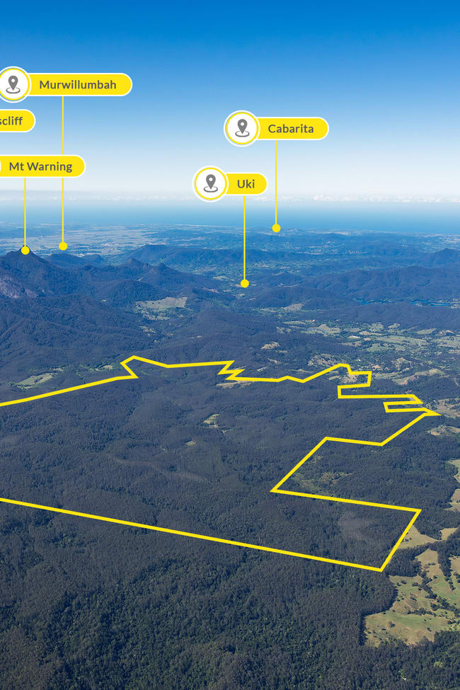 2984 Kyogle Road Kunghur NSW 2484