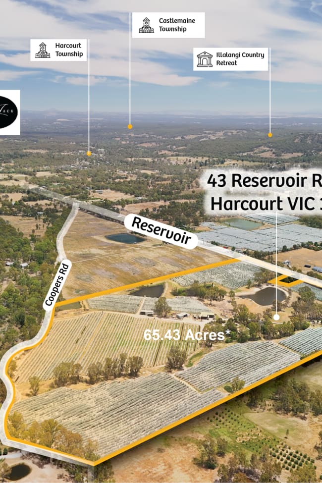 43 Reservoir Road Harcourt VIC 3453