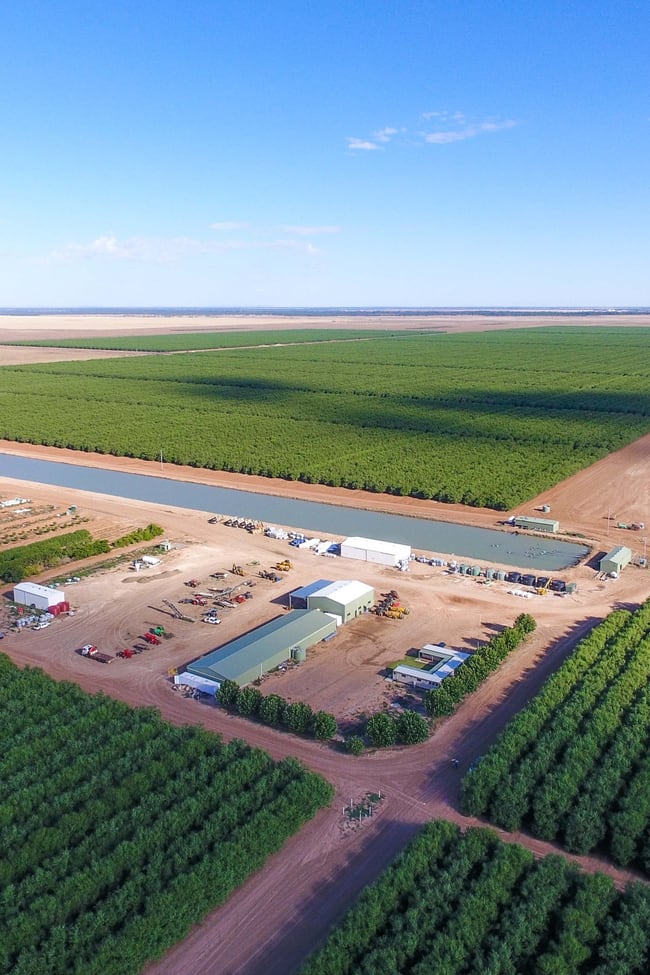 Hillston NSW 2675