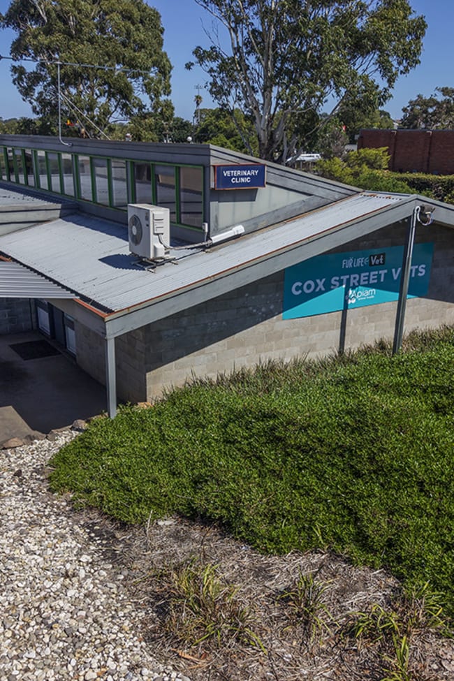 87 Cox Street Hamilton VIC 3300