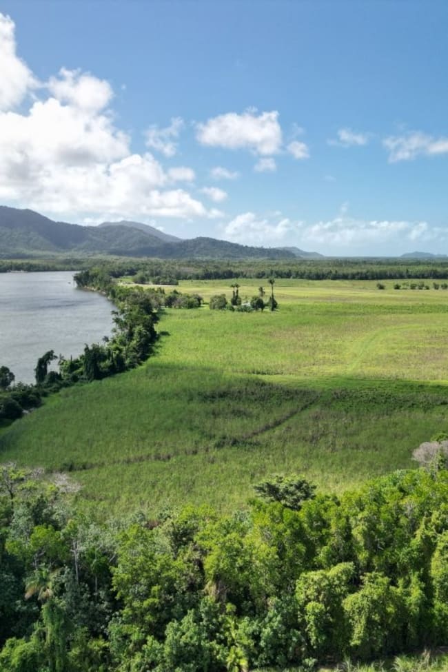 Mossman Daintree Road Lower Daintree QLD 4873