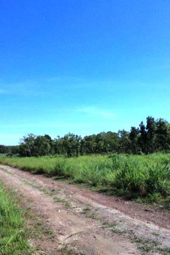 Lot 1268 Coach Road Batchelor NT 0845