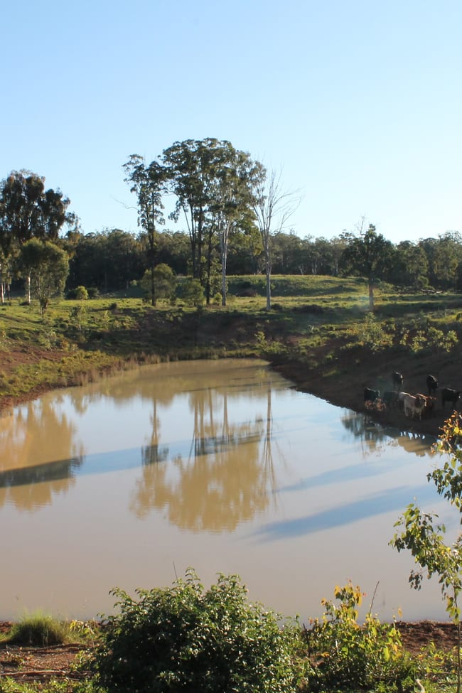 Staines Road Benarkin QLD 4314