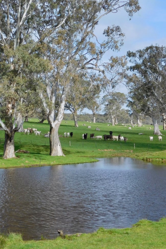 144 Humphries Rd Sandford VIC 3312