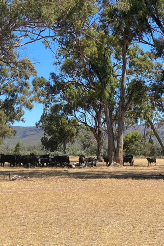 Lot 2 Wonwondah-Dadswells Bridge Road Laharum VIC 3401